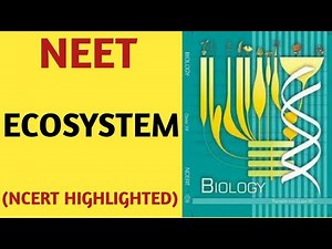 NCERT Explained for NEET: Ecosystem Video Lecture
