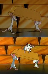 Remember the New Guy? - TV Tropes