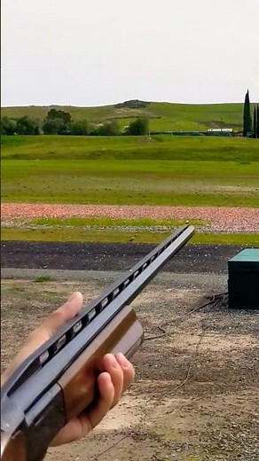 this oldie is a beaut 🥰 Browning BT-99