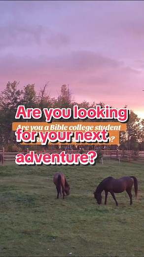 Birch Bay Ranch on TikTok