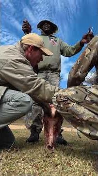 Measuring a Big Trophy Kudu Bull #hunting #kudus #kuiu #huntingseason