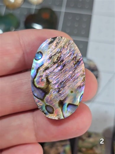 Abalone Shell Cabochons