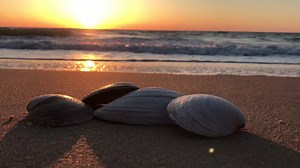 21K views · 1.1K reactions | Currently overcast at the Maryland/Delaware beaches. Here’s a past video to help you relax and start your day off right. | The Beach Is My Happy Place | Facebook