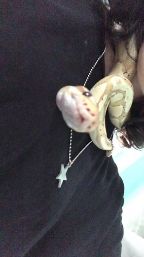 ☆ ☆ ☆ on TikTok