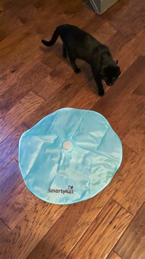 New toy by Smart Kat. Zeenya approved! u can find this toy and many others at my Amazon store