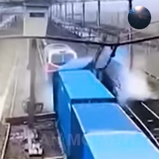 48K views · 585 reactions | Incredible Moments Caught on Camera | Best Of 2025 #109 | Unexpected Nature | Facebook