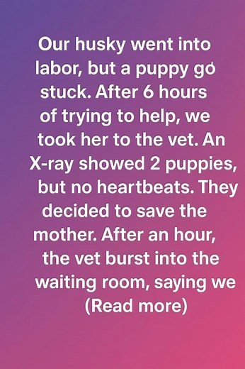 Full story 👇👇 | Story Hub