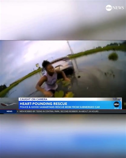 622K views · 10K reactions | "She's in the water, help her!" A 12-year-old Texas boy helped save his mother from drowning when he flagged down a police officer after she experienced a seizure while driving and drove her car into a body of water before falling unconscious. Newly released police bodycam video shows the heart-pounding rescue of the Texas mom of two. Read more: https://abcnews.visitlink.me/KA9efe | ABC News | Facebook