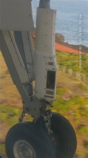 Landing on Pico Island - AZORI #shortvideo #nature #documentary #naturevideo