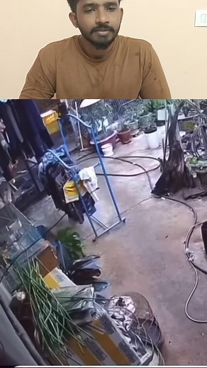 Animals chasing funny video, #comedy #trendingreels #animals #viral #funny #explore | Yesvadiveluu