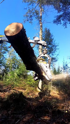 3.6K views · 46 reactions | I thought I destroyed my camera and tripod #Ohno #fail #logging #equipment #machine | Logger Mack | Facebook