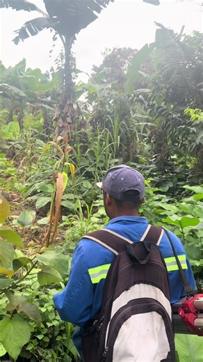 New project alert 🚨