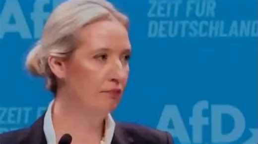 德国选择党(AfD)主席艾丽斯·魏德尔宣布德国将不再接纳移民：“100天内，我将关闭边境，取消对移民的补贴，并进行德国历史上最大规模的驱逐行动。”