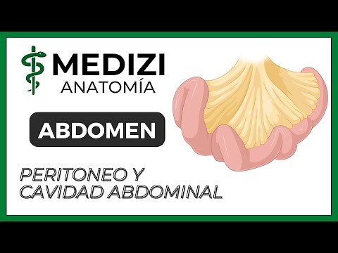 Anatomy of the Abdomen - Peritoneum and Abdominal Cavity (MESOS AND OMENTUM)