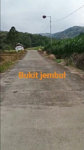 SIMPONi #live #cover #alampedesaan