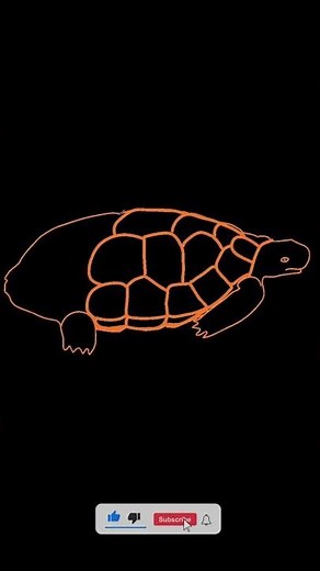 How To Draw EASY Turtle | Cartoon Drawing Tutorial #Shorts