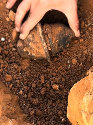 Metal Detecting Treasure Hunt in the USA