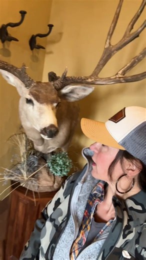 Mrs. Poindexter on Instagram: "More photos from my Sonora, Mexico trip. Wild landscapes, endless skies, and beauty you can't capture in just one shot. 🌵🌅🦌"