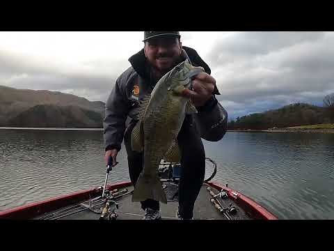 Watauga lake bass fishing