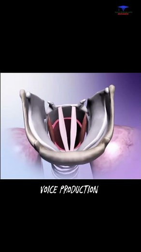 Sound Production ,, How our sound Produce !? animated video ,,