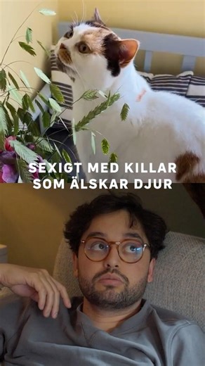 Överlever kärleken bland kattspyor? 😖Gift vid första ögonkastet / SVT Play