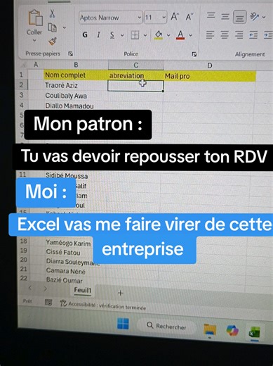 part 02 : mon patron veut me viré a cause d'excel #template #excel #tutorials @Excel.Tutoriels @Papa Moussa TOURÉ