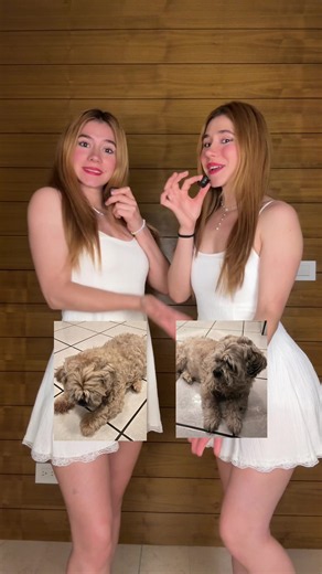 Jaja a pesar de esas confusiones, siempre hemos buscado darles el mejor alimento con Pro Plan 🐶😺 @purinamx #Alcanzaloexcepcional #ProPlan #Publicidad