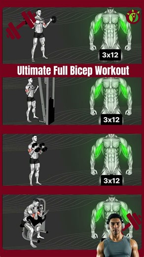 Build Peak Biceps Fast! Ultimate Full Bicep Workout Guide