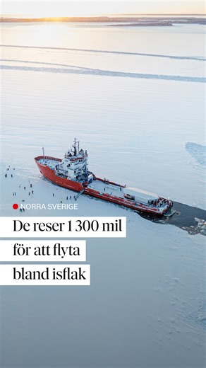 DN on Instagram: "BÅTSKÄRSNÄS. Christopher Neale och hans dotter guppar runt bland isflaken i Kalix skärgård. Barnfamiljen från Perth i Australien byter hetta mot köld på semestern. De ingår i en växande skara turister som betalar för upplevelser i snö och is. Läs mer på dn.se eller via länken i vår profil. https://www.dn.se/sverige/alice-7-ar-flyter-bland-isflak-reste-1-300-mil/ Foto: Erik Simander Redigering: Joel Danell"