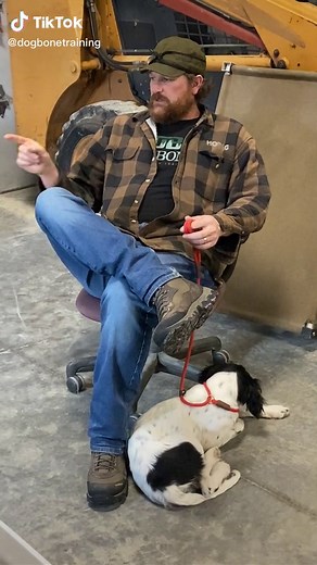 If your dog never knows that going to the bathroom in the house, or jumping off of place is a option, it takes very little to maintain that habit! Give an inch and they will gain a mile! Don’t let one mistake ruin your progress! 🙌🏻 #dogtraining #dogtraining101 #dogtrainingtips #dogtips #puppy #puppytraining #puppytrainingtips #puppytips #obedience #heelwork #placetraining #dogs #housebreaking #pottytraininng #cratetraining #tiptok #springbreak