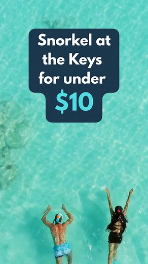 📍 John Pennekamp State Park, 102601 Overseas Hwy, Key Largo, FL Skip pricey tours. Snorkel for $8 and find your own reef adventure!💦🤿 👉 Follow for more cheap thrills! | Floridiantravelonabudget