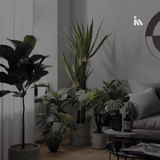 IMeshh_Official on Reels | Facebook