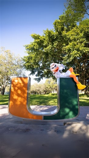 University of Miami on Instagram: "Happy #NationalBirdDay to everyone’s favorite bird! 😎🙌 #umiami #universityofmiami"