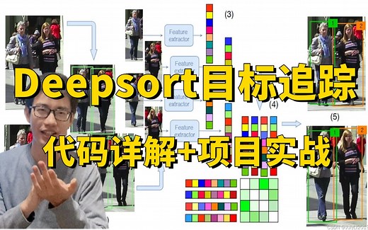 Deepsort目标跟踪算法代码详解+项目实战教程，迪哥半天带你搞定deepsort算法！