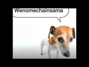 1 Hour of Silence randomly interrupted by Wenomechainsama dog