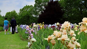 475 reactions · 141 shares | Every day is a new experience at Royal Botanical Gardens, where colour comes alive! RBG is your number one destination to discover beautiful blooms in five garden areas, scenic nature trails, and activities for the entire family. | Royal Botanical Gardens | Facebook