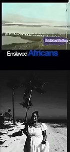 31K views · 1.2K reactions | Bomba y Plena | Boricua Natives | Facebook