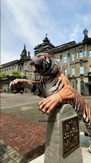University of Santo Tomas new tiger #gouste 💛 my home! UST campus