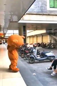 Funny Bear #funny #fun #video #reel #movie #bear #love #comedy #beard #lol #bears #memes #travel #meme #nature #fun #wildlife #funnymemes #follow #instagood #lmao #art #friends #usa #photography #humor #instabear #like #scruff #dankmemes #alaska #cute #california #instagram | Funny Bear