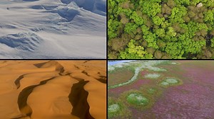 Land Biomes - Grassland - Tundra - Flocabulary