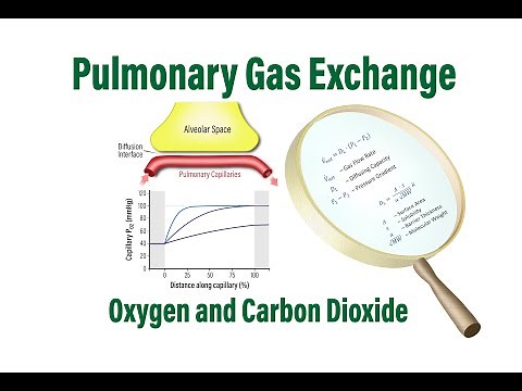 Pulmonary Gas Exchange and the Diffusing Capacity for Oxygen and Carbon Dioxide