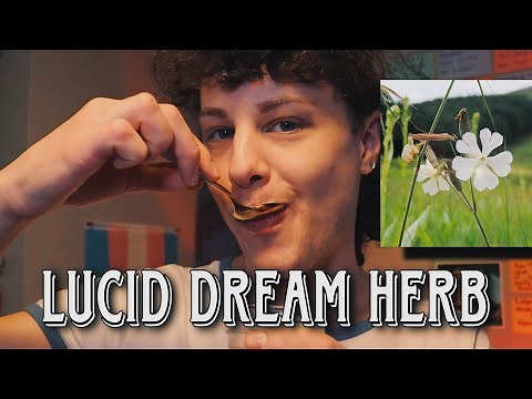Experimenting With African Dream Root - How To Take African Dream Root For Dreams