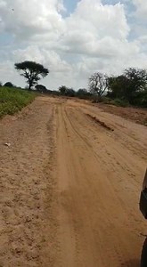 +++ Heuschreckenplage in Ostafrika zerstört Ernten +++ Klimaverhältnisse sind die Ursache +++ Eine Heuschrecke ist so lang wie ein Finger, und Millionen von ihnen schwärmen derzeit über Ostafrika. Im Video unserer Partnerorganisation PACIDA, Kenya seht Ihr einen der Schwärme über unsere Projektregion in Kenia fliegen. Er ist mittlerweile rund 60 Kilometer lang und 40 Kilometer breit. Schuld sind ungewöhnliche Klimaverhältnisse. Schwere Überschwemmungen der letzten Monate boten den Heuschrecken o