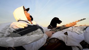 4.5K views · 69 reactions | Different styles of hunting call for different types of training. This week we're covering training tips for hunting out of upright blinds and laying exposed in the decoys. Brookstone Kennels Performance Gundogs | Hunt Factory Inc | Facebook