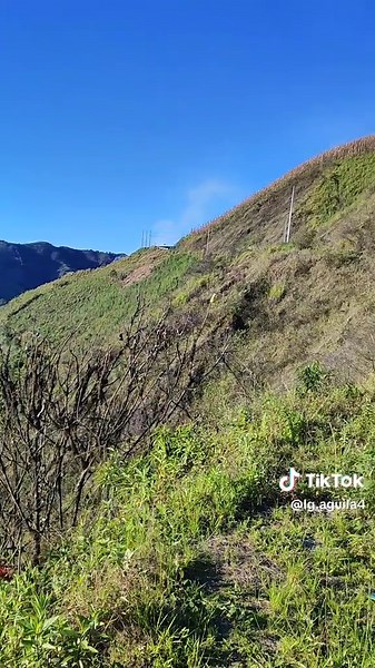 Videos de LG AGUILA (@lg.aguila4) con “sonido original - LUNA-ESTRELLA ✨✨✨✨”