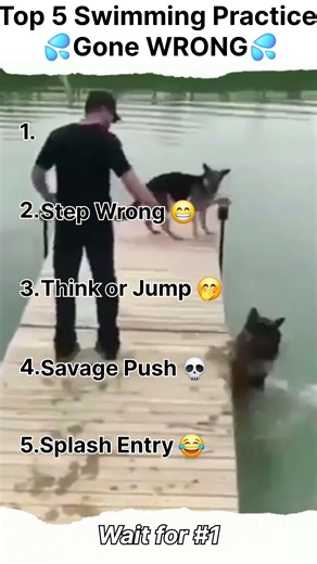 👉 Top 5 Animal Water Fails 😂💦 | Instant Regret Moments! #short