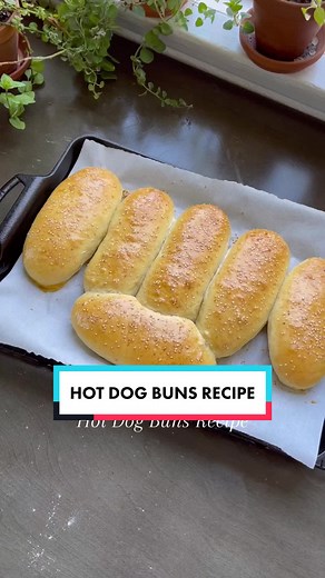 Homemade Hot Dog Buns Recipe