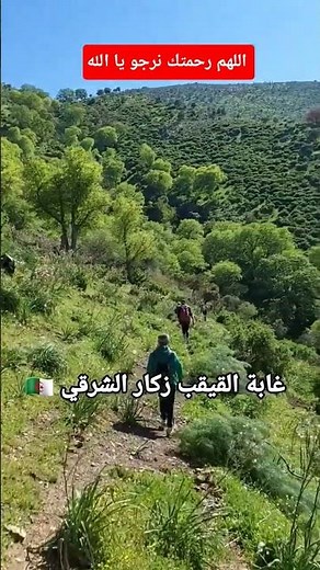 Algeria's Stunning Mountain Landscapes | Breathtaking Nature in the Heart of North Africa