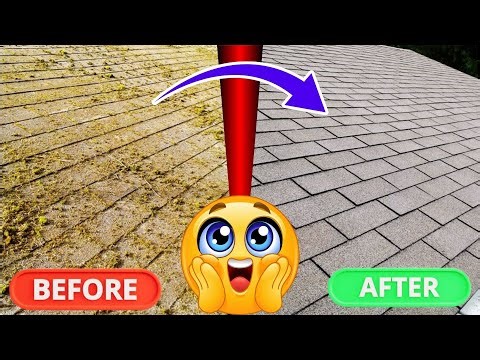 How to Clean Mold Off Roof Shingles FAST (No Damage, No Stress)
