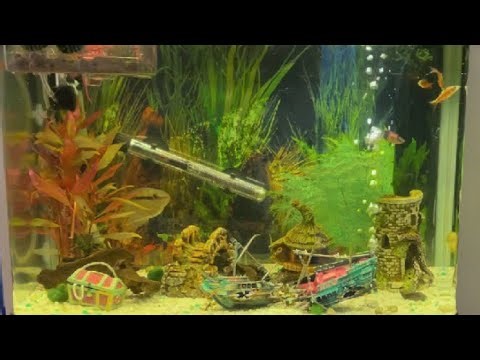 Aqua One Aqua Style 620 Aquarium review @AQUAGUYUK